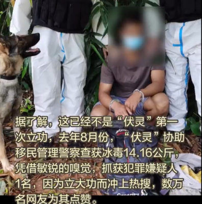 警犬5小时找到2.5公斤冰毒,贩卖毒品罪量刑标准