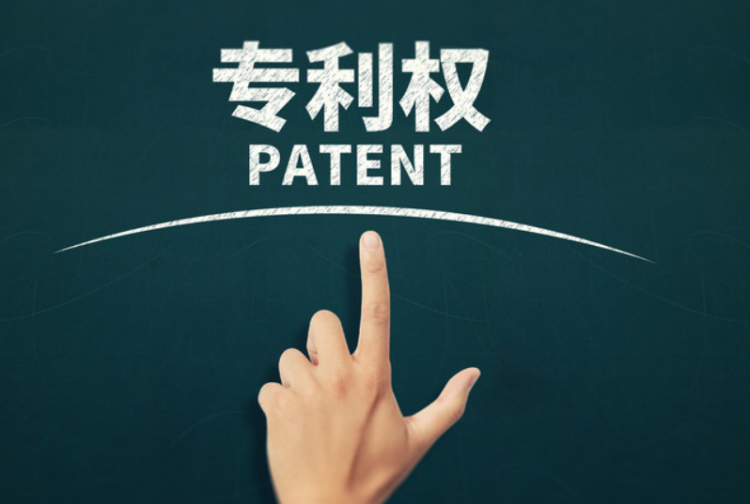 重庆市专利促进与保护条例