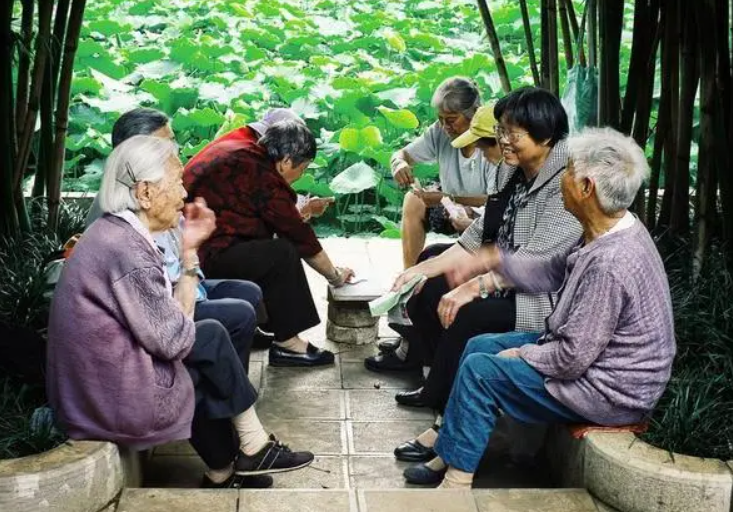 中华人民共和国老年人权益保障法