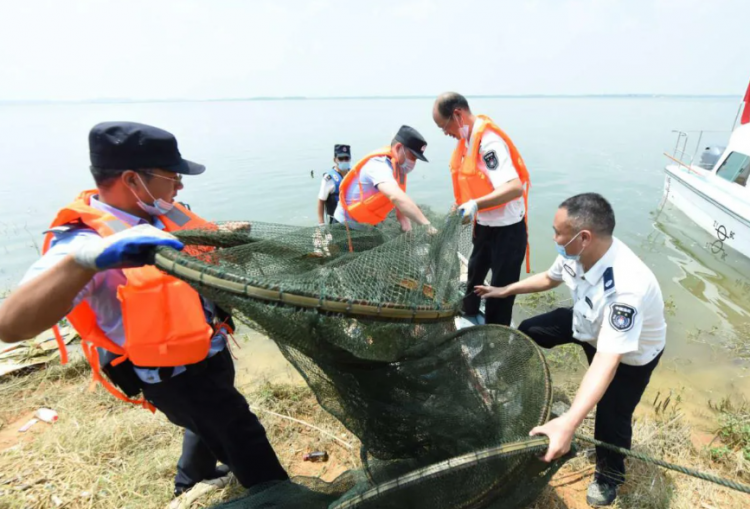 非法捕捞长江鲟嫌疑人供述吃了几条,非法捕捞水生动物罪量刑标准