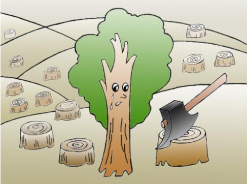 滥伐林木罪的构成要件,滥伐林木罪的立案标准
